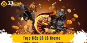 truc tiep da ga thomo